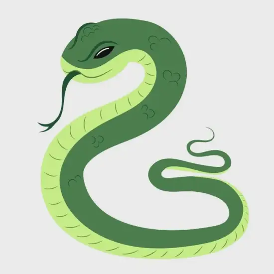 生肖蛇命理分析图