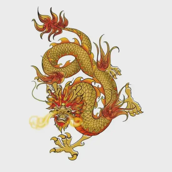 生肖龙五行补缺