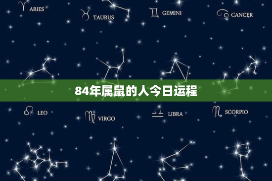 84年属鼠的人今日运程：2023年财富暴涨还是陷谷底？