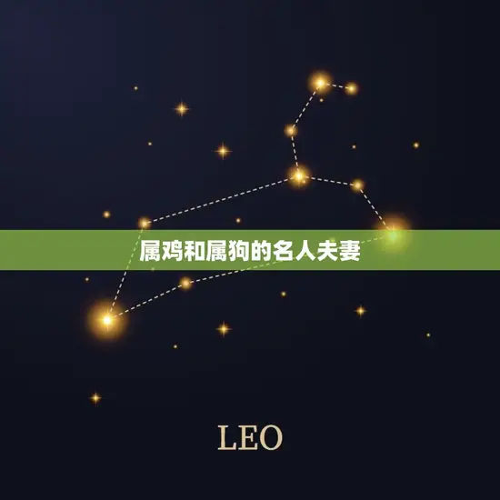 属鸡和属狗的名人夫妻