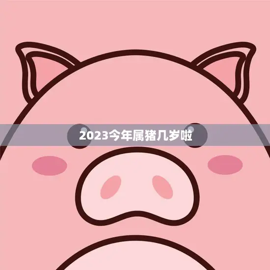 2023今年属猪几岁啦(猪年迎来新生命你的年龄又增加了吗)