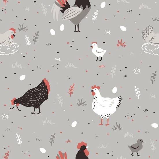 十二生肖鸡今日运势查询(好运连连财运亨通)