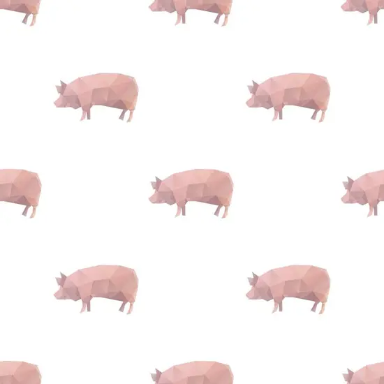 2023年属猪的几周岁(猪年宝宝们的成长秘密)