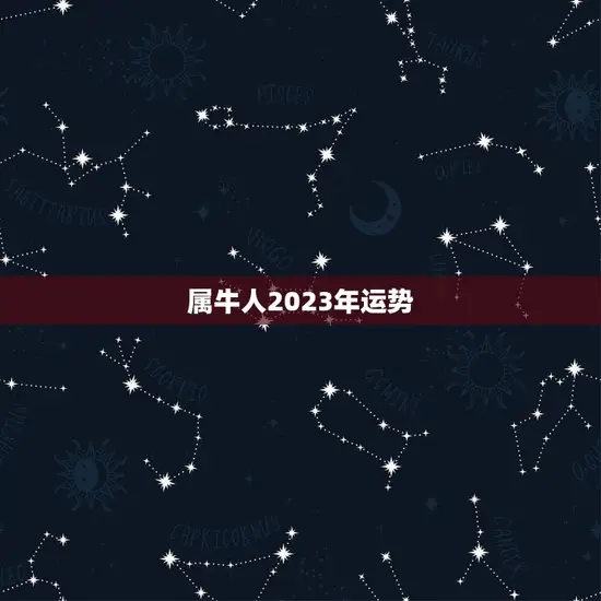 属牛人2023年运势