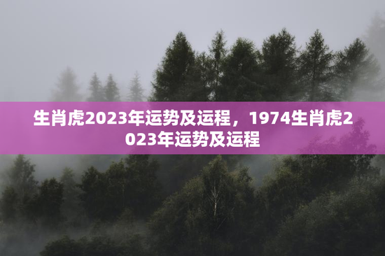 生肖虎2023年运势及运程，1974生肖虎2023年运势及运程
