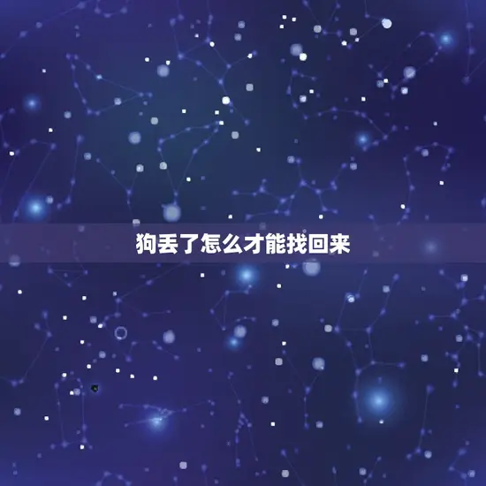 狗丢了怎么才能找回来