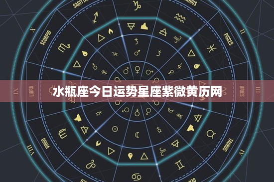 水瓶座今日运势星座紫微黄历网：创新先驱者！今日运势暗藏玄机，职场风波如何化解？