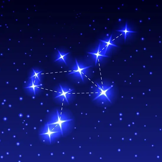 属鸡今日财运哪个方位：东南西北，哪个方位藏着你的财富密码？