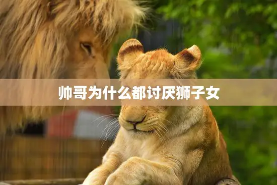 帅哥为什么都讨厌狮子女(揭秘狮子女的性格特点和恋爱陷阱) 帅哥为什么都讨厌狮子女(揭秘狮子女的性格特点和恋爱陷阱)