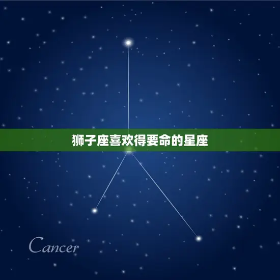 狮子座喜欢得要命的星座