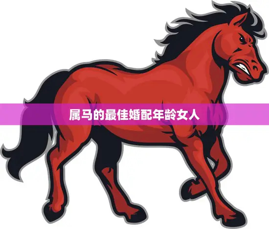 属马的最佳婚配年龄女人(如何选择最佳婚期)