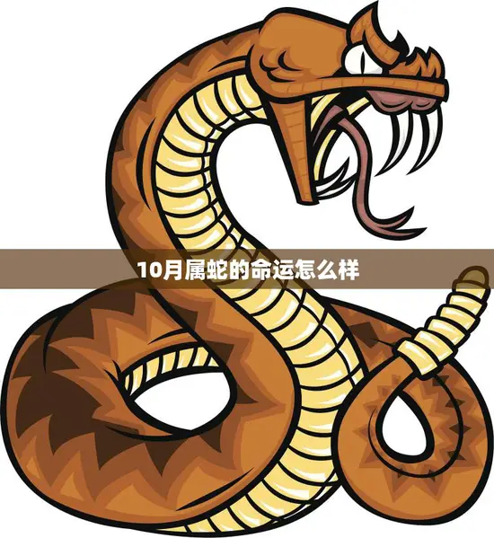 10月属蛇的命运怎么样(解析财运、感情、健康全方位预测)