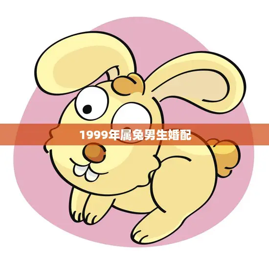 1999年属兔男生婚配(如何选择最佳伴侣)