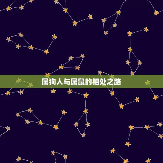 属狗人与属鼠的相处之路