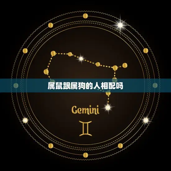 属鼠跟属狗的人相配吗