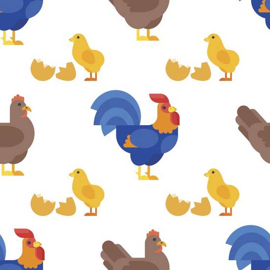 属鸡的今年多大的年龄表(详解鸡年出生的人今年几岁)