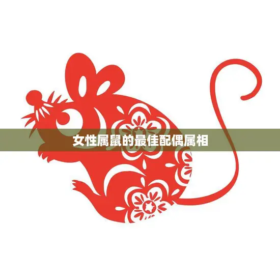 女性属鼠的最佳配偶属相(揭秘谁是你的真命天子)