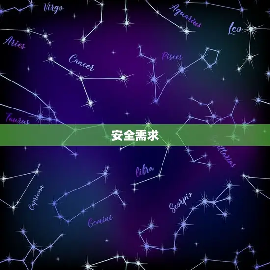 安全需求