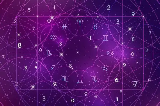 生肖鸡今天的财运方位：哪个方位藏着金钱密码？