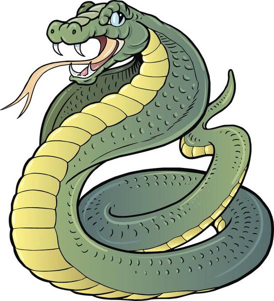 属蛇2023年财运方位(财运旺盛财源滚滚来)