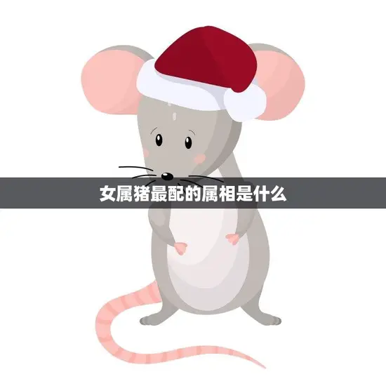 女属猪最配的属相是什么(揭秘最佳配对属相是谁)