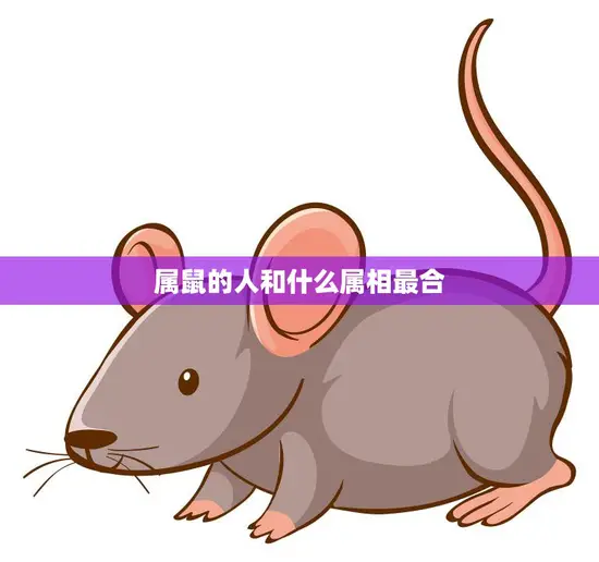 属鼠的人和什么属相最合(最佳配对大揭秘)