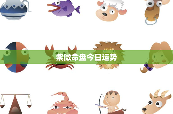 紫微命盘今日运势:星座解读人生运势