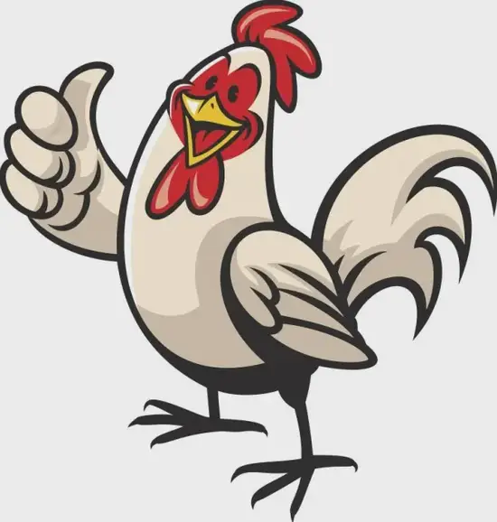生肖鸡今日运势配图