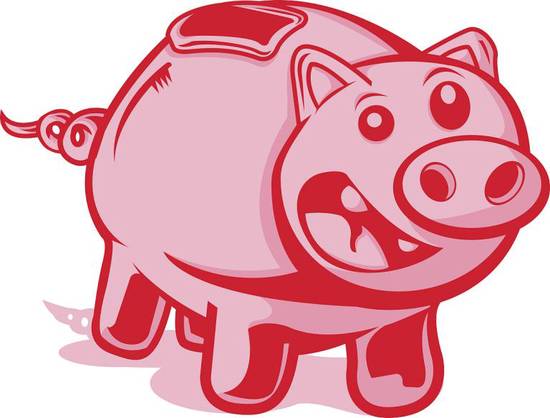 属猪的今年运势2023(猪年大吉财运亨通)