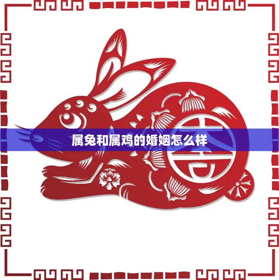属兔和属鸡的婚姻怎么样(幸福美满的秘诀)