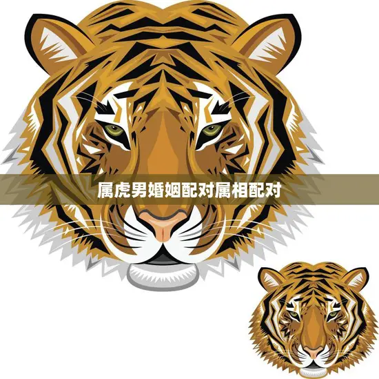 属虎男婚姻配对属相配对(如何选择最佳配偶) 属虎男婚姻配对属相配对(如何选择最佳配偶)