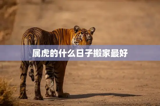 属虎的什么日子搬家最好(如何选择吉日迁居)