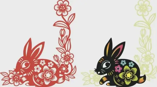 生肖兔短尾特征解析