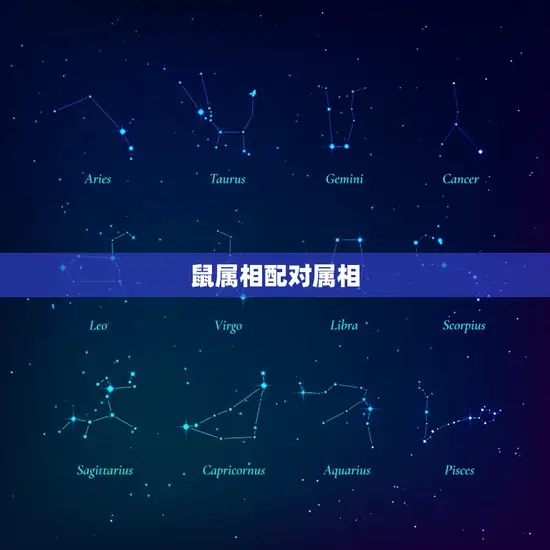 鼠属相配对属相