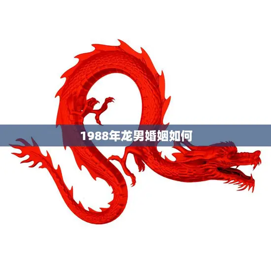 1988年龙男婚姻如何(婚姻运势分析)