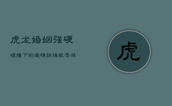 虎龙婚姻：强硬碰撞下的爱情抉择，能否共筑家庭？
