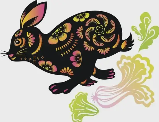 生肖兔五行命理解析