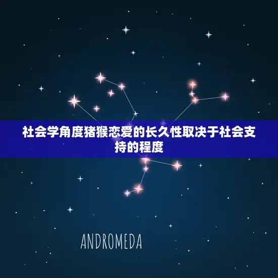 社会学角度猪猴恋爱的长久性取决于社会支持的程度