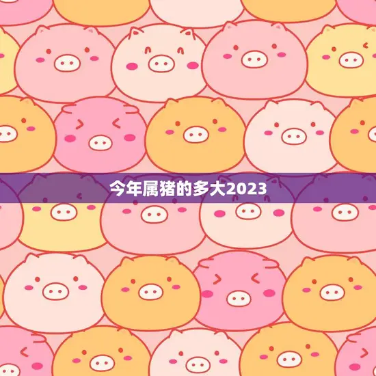 今年属猪的多大2023(猪年宝宝们将迎来人生中的重要节点)