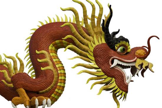 属龙的找比自己大几岁的（ 属龙理想伴侣年龄差异建议）