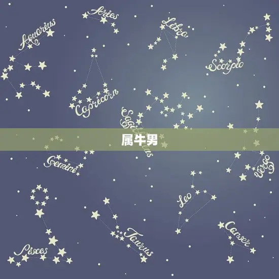 属牛男