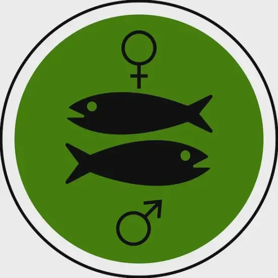 双鱼座2025运势图解