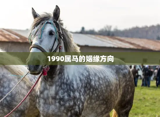 1990属马的姻缘方向(如何选择最佳的姻缘方向)