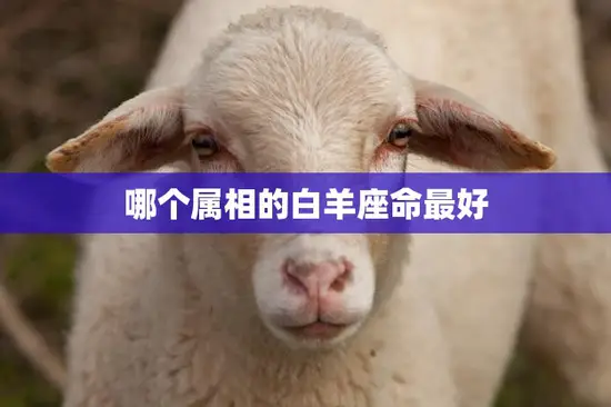 哪个属相的白羊座命最好(揭秘白羊座的幸运属相)