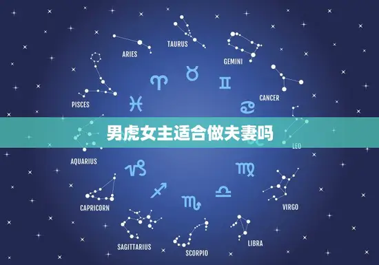 男虎女主适合做夫妻吗