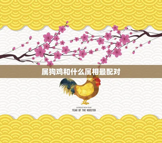 属狗鸡和什么属相最配对(完美配对指南)
