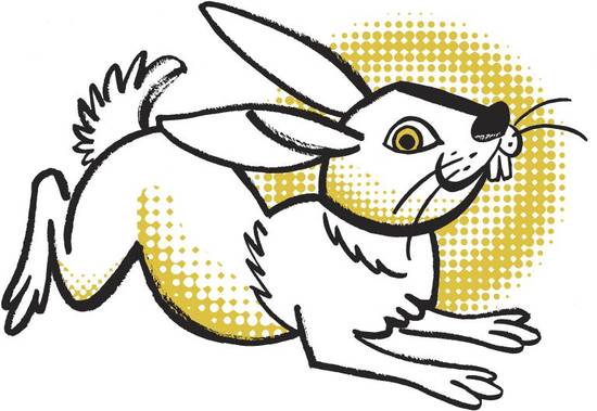 2023年属兔的是什么(2023年属兔的人性格特点及运势解析) 2023年属兔的是什么(2023年属兔的人性格特点及运势解析)