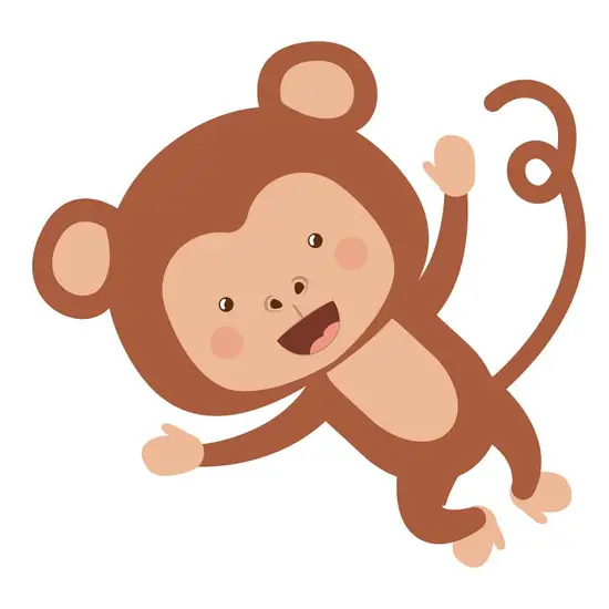 属猴女和什么属相合婚配(最佳婚配星座大揭秘)