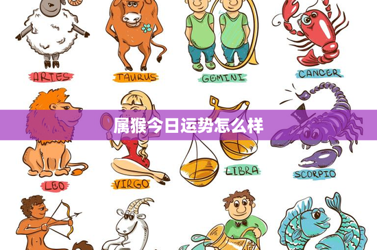 属猴今日运势怎么样：职场逆袭秘籍大揭秘