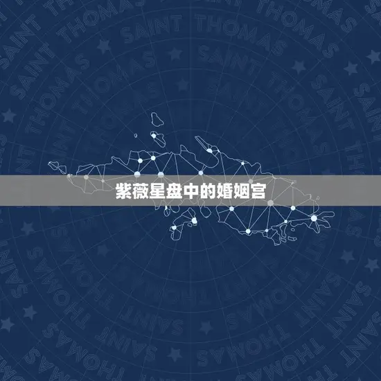 紫薇星盘中的婚姻宫